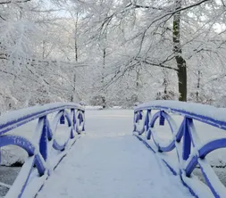 Warm Winter