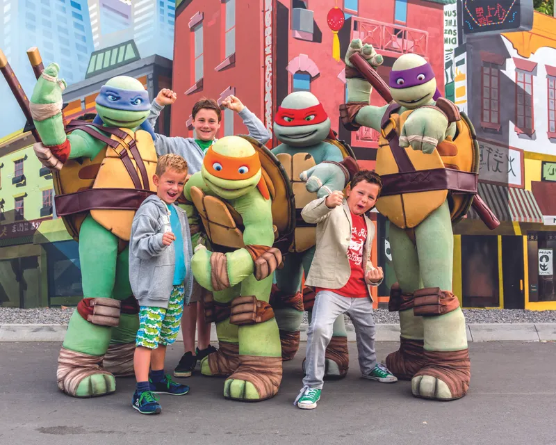 Turtles