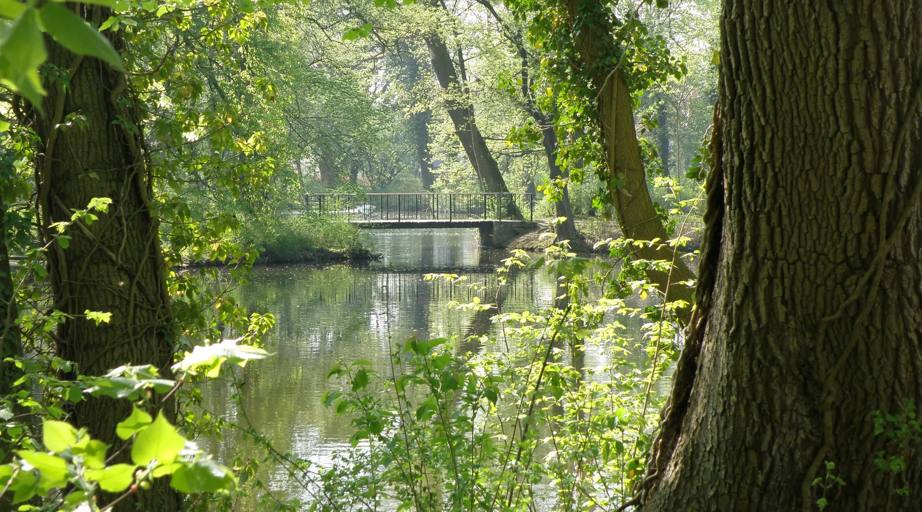 Park
