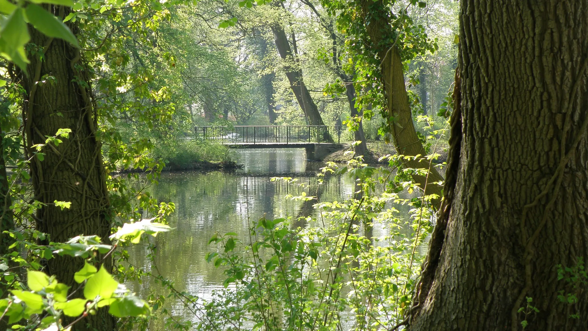 Ernst-Ehrlicher-Park@Hildesheim-Marketing