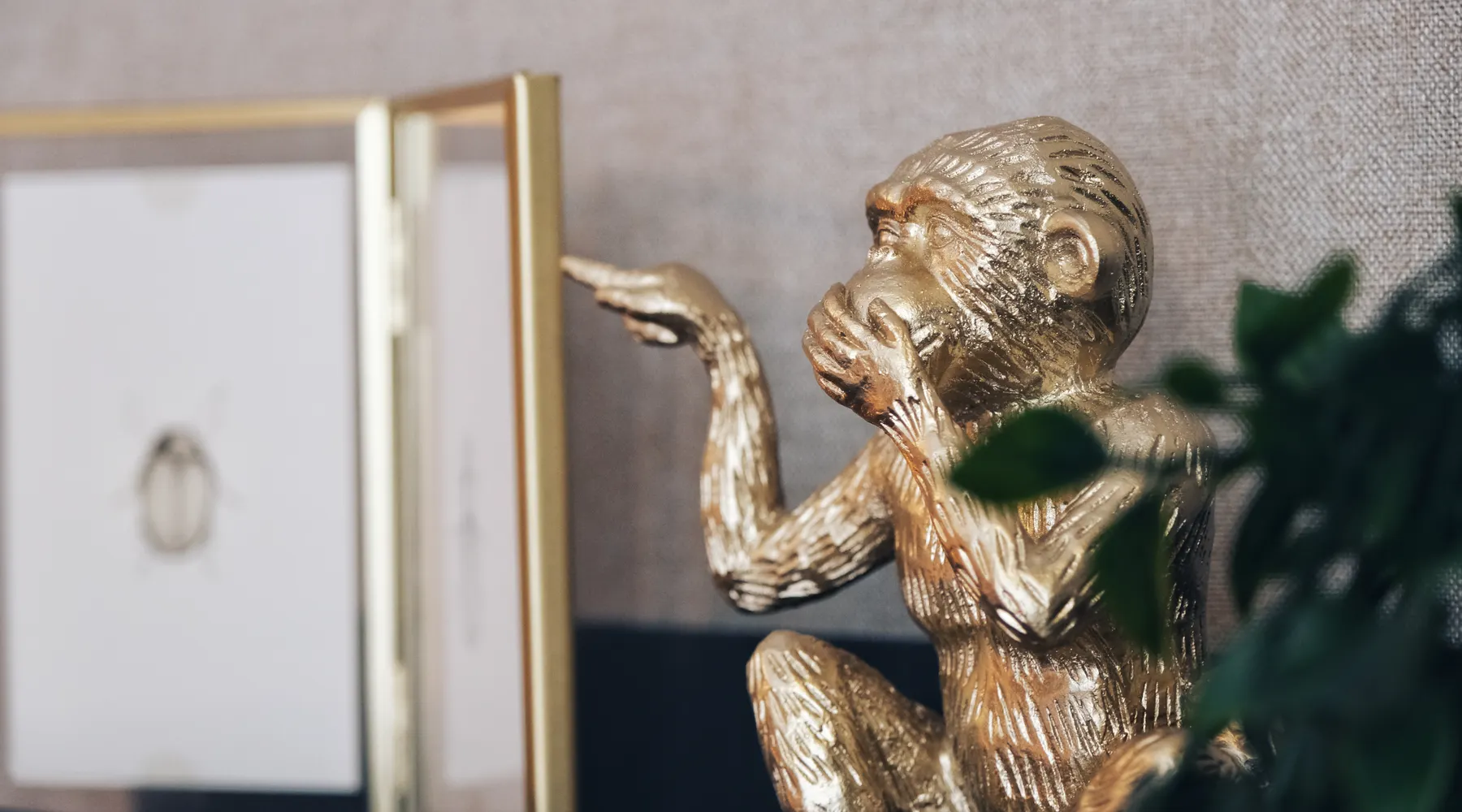 Monkey Detail