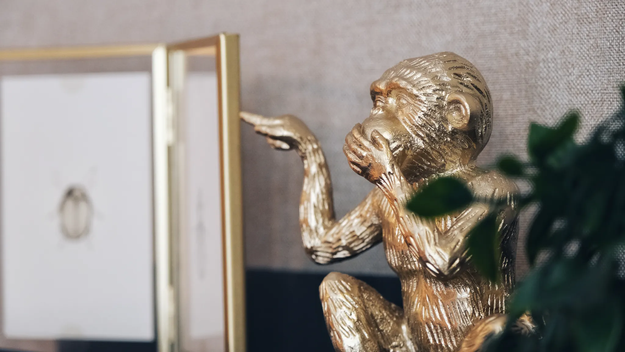 Monkey Detail