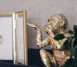 Monkey Detail