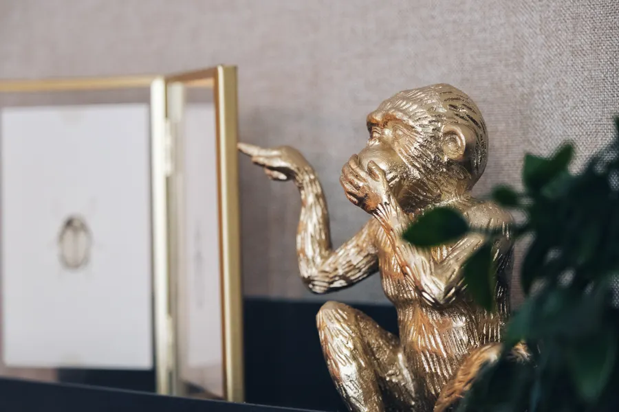 Monkey Detail
