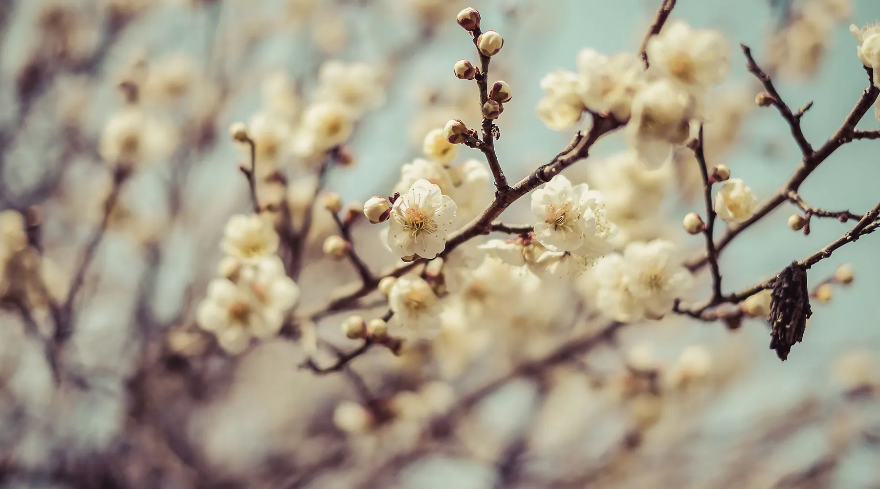 Happy Spring
