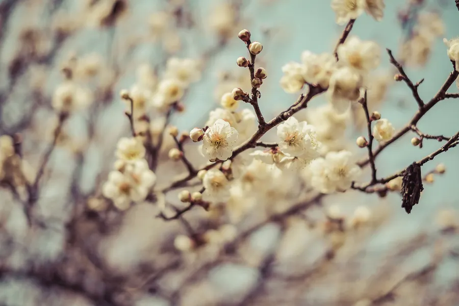 Happy Spring