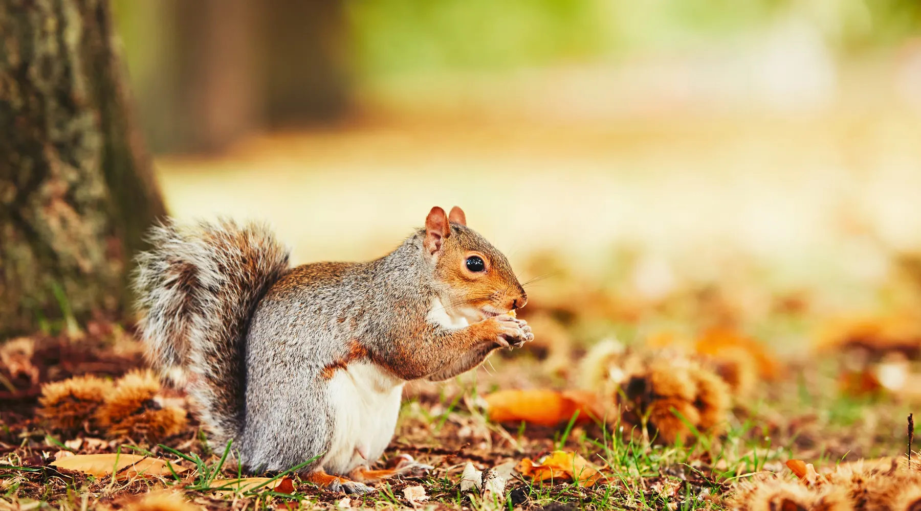 Herbst in Wittenburg