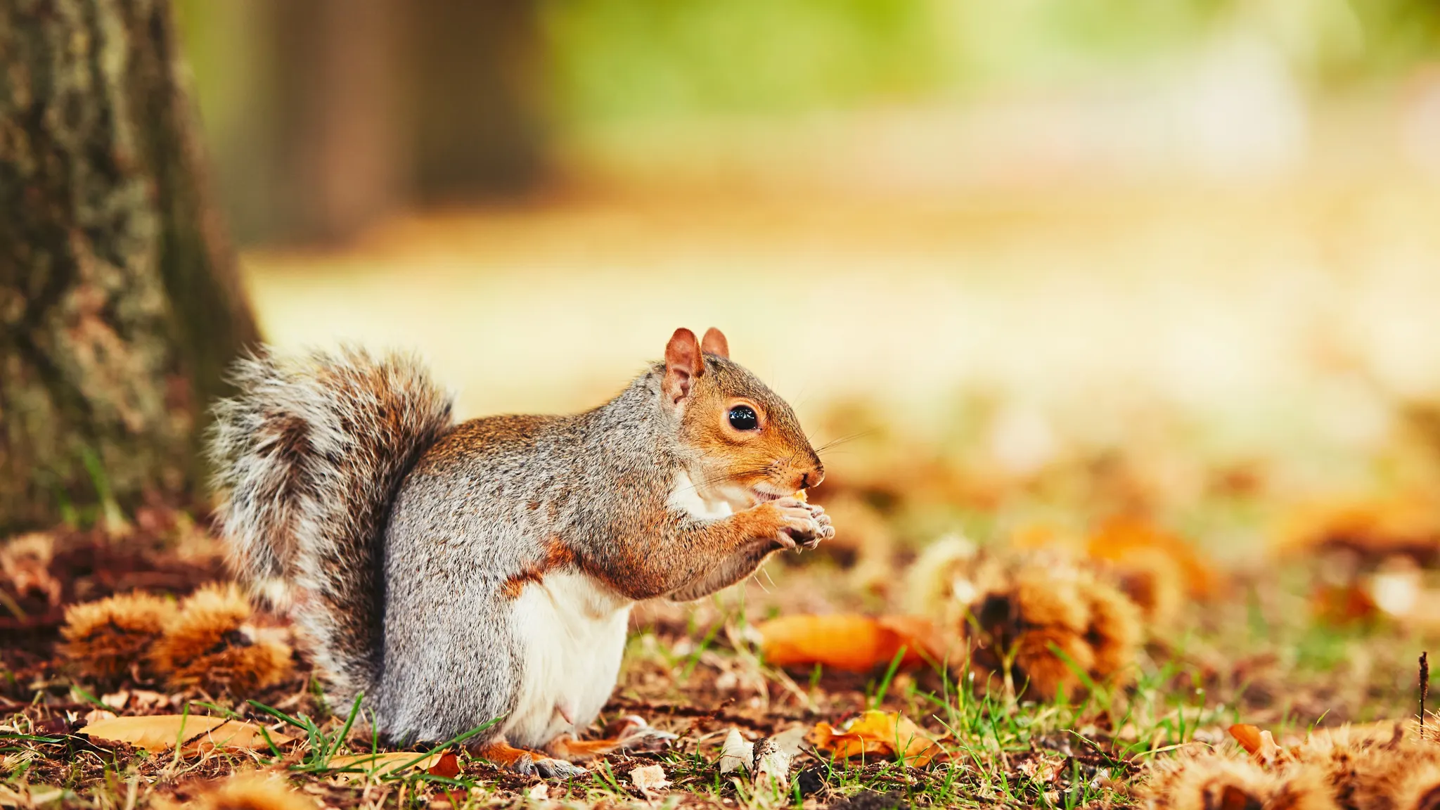 Herbst in Wittenburg