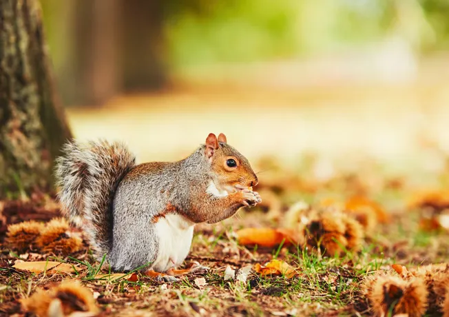 Herfst in Wittenburg