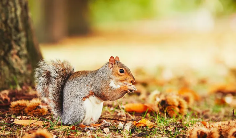Herbst in Wittenburg