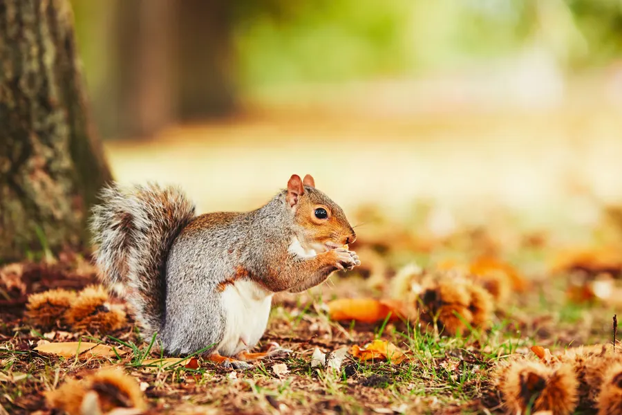 Herbst in Wittenburg