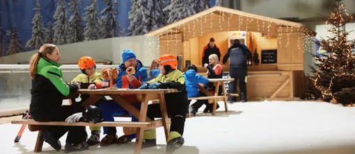 Ski dome