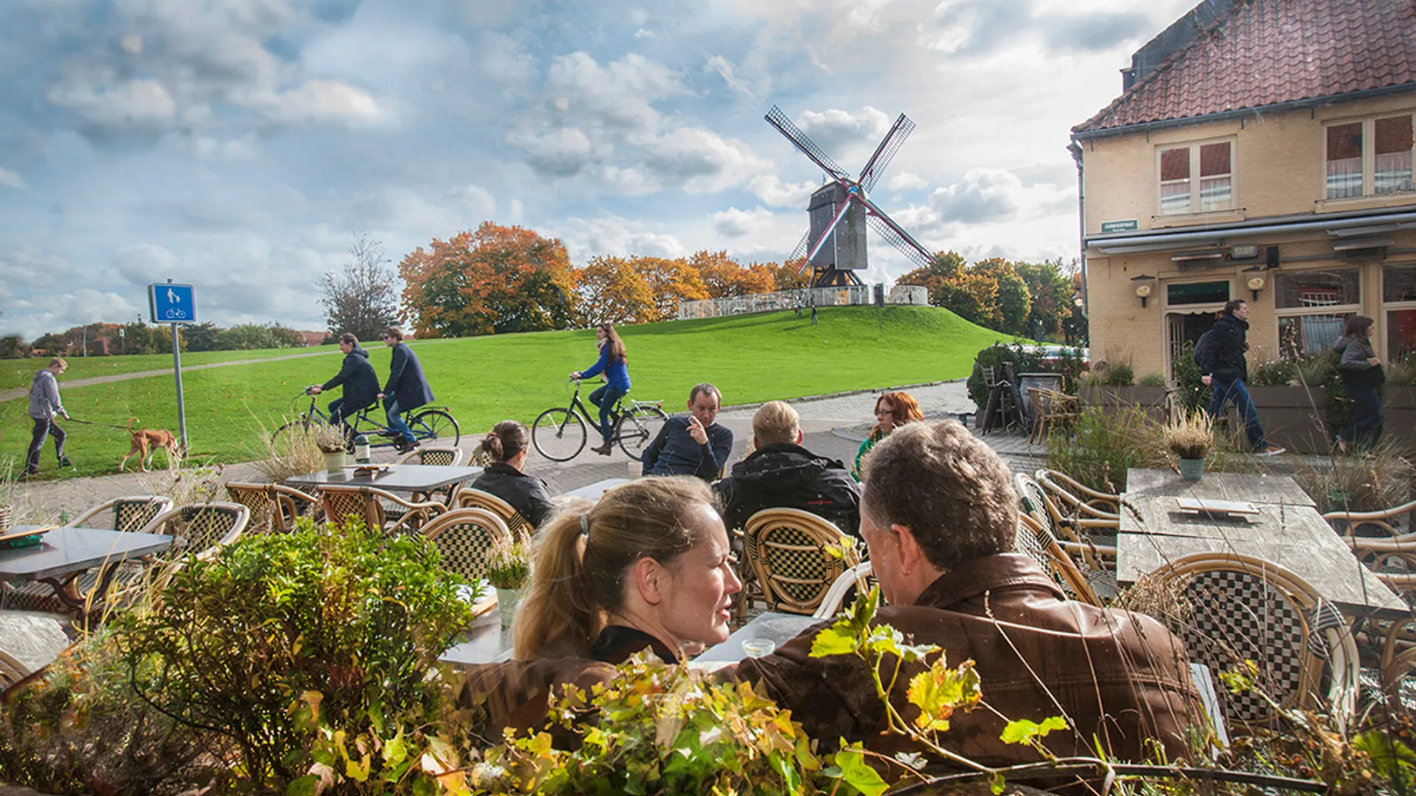 Molen