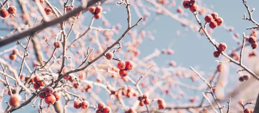 Winter getaway