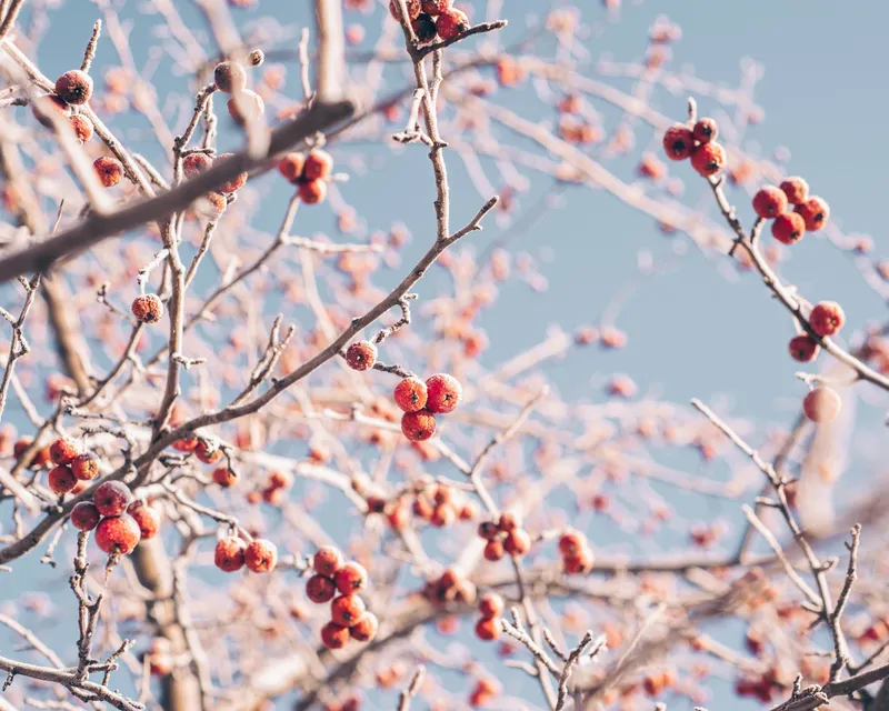 Winter getaway