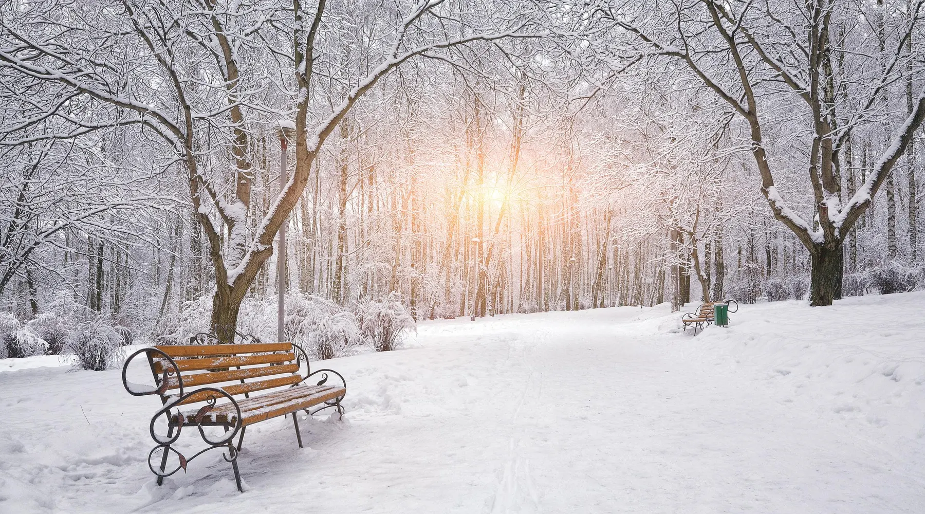 winter_bankje