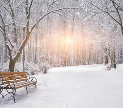 winter_bankje