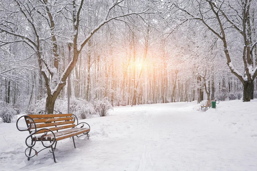 winter_bankje