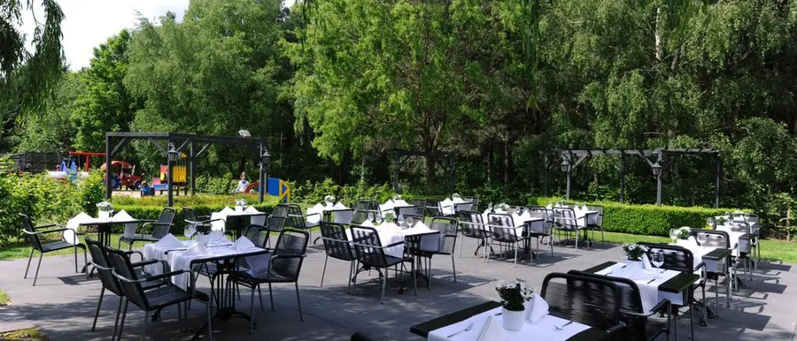 Terras