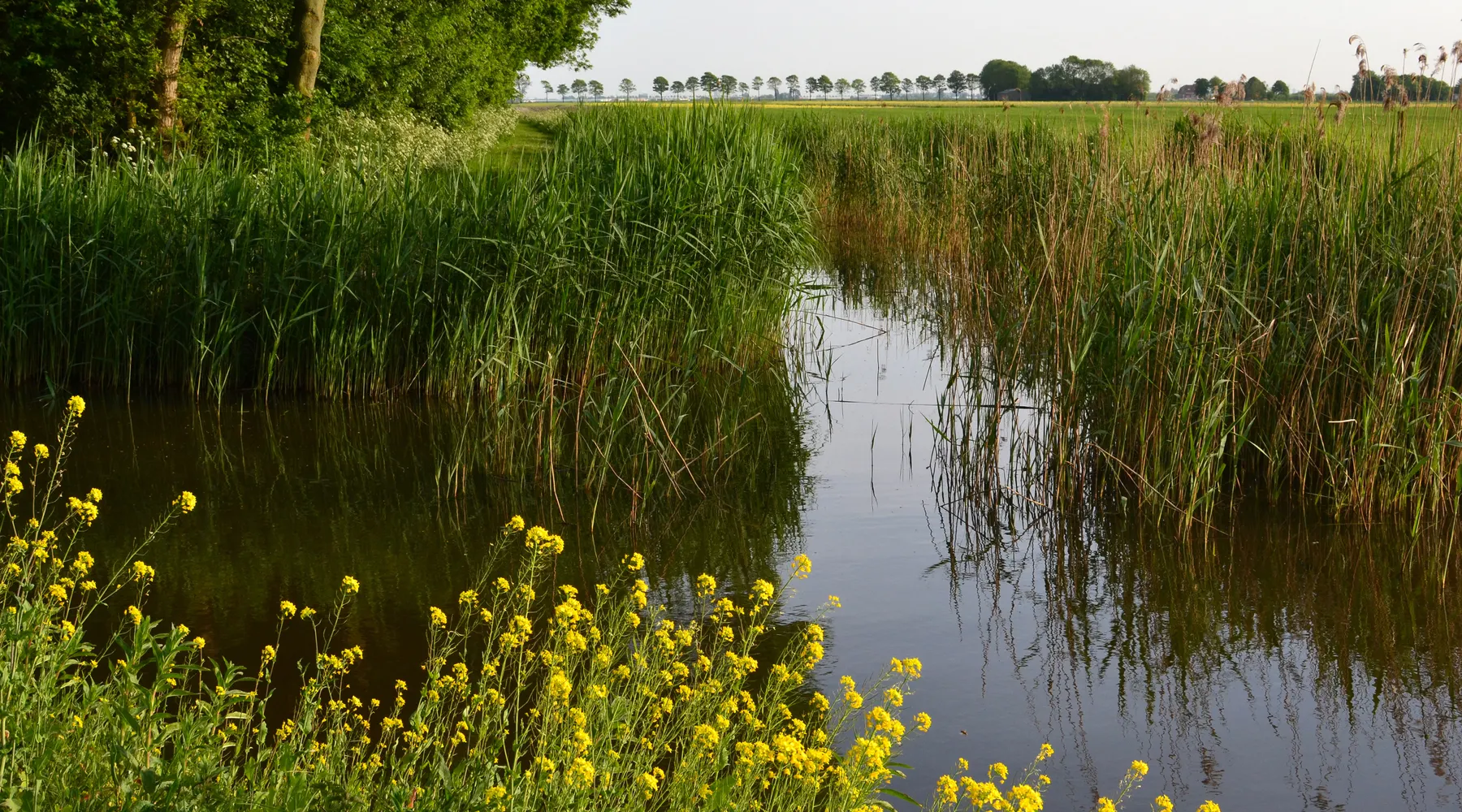 Leiestreek