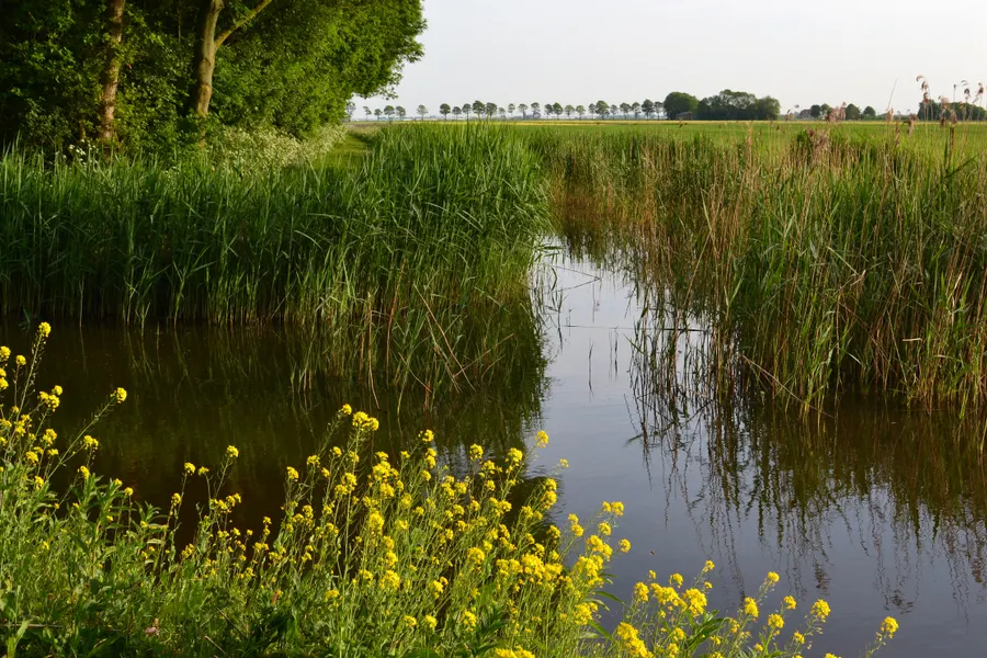 Leiestreek