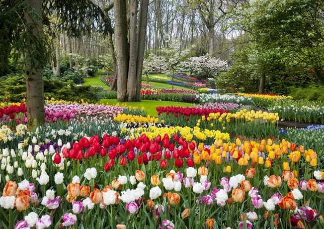 Keukenhof