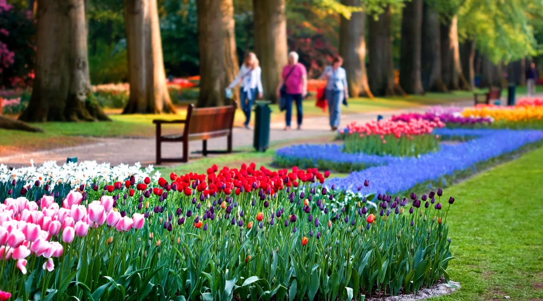 Keukenhof with overnight stay