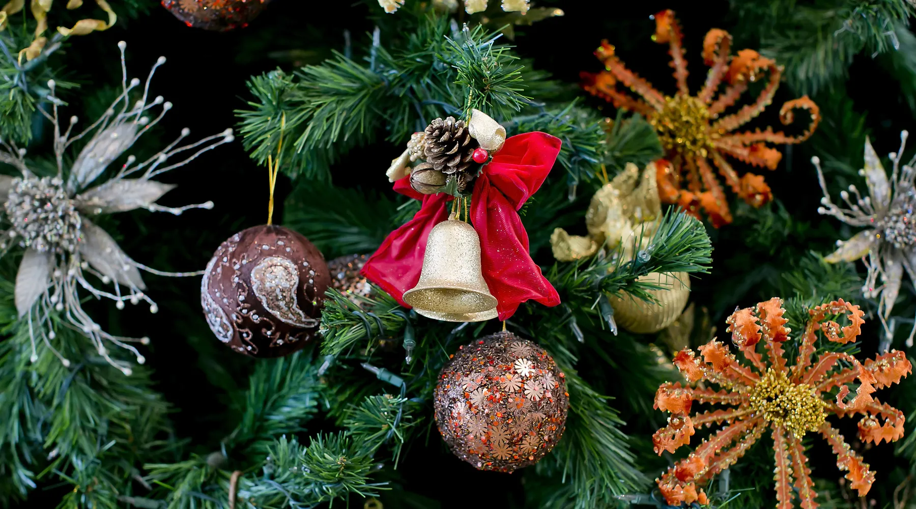 Kerstboom