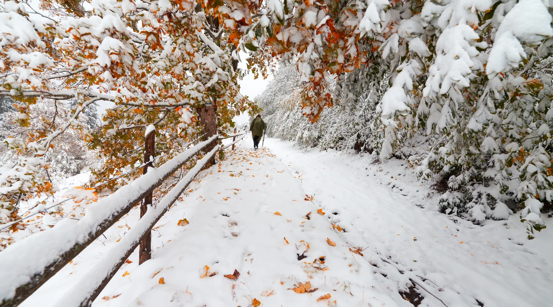 weg_in_winter