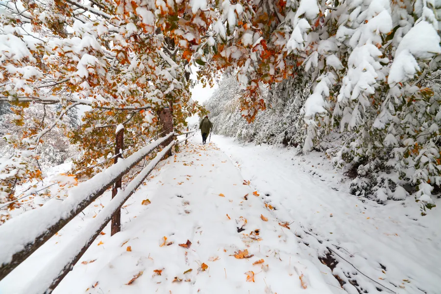 weg_im_Winter