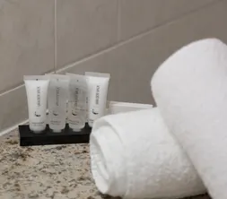 Produits de douche fournis dans la salle de bain de la chambre supérieure avec lit double à Nivelles