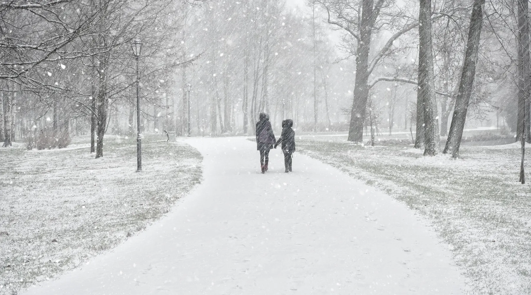 winter