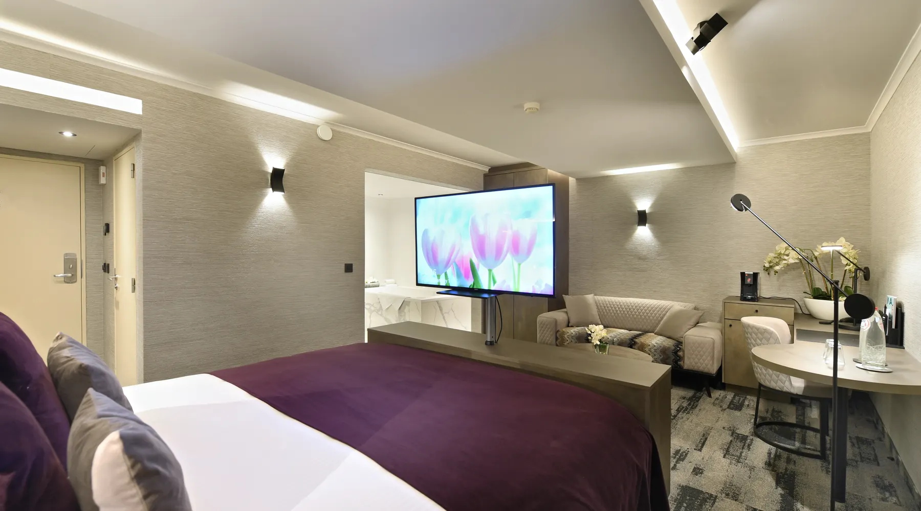 Suite Executive - Cocoon