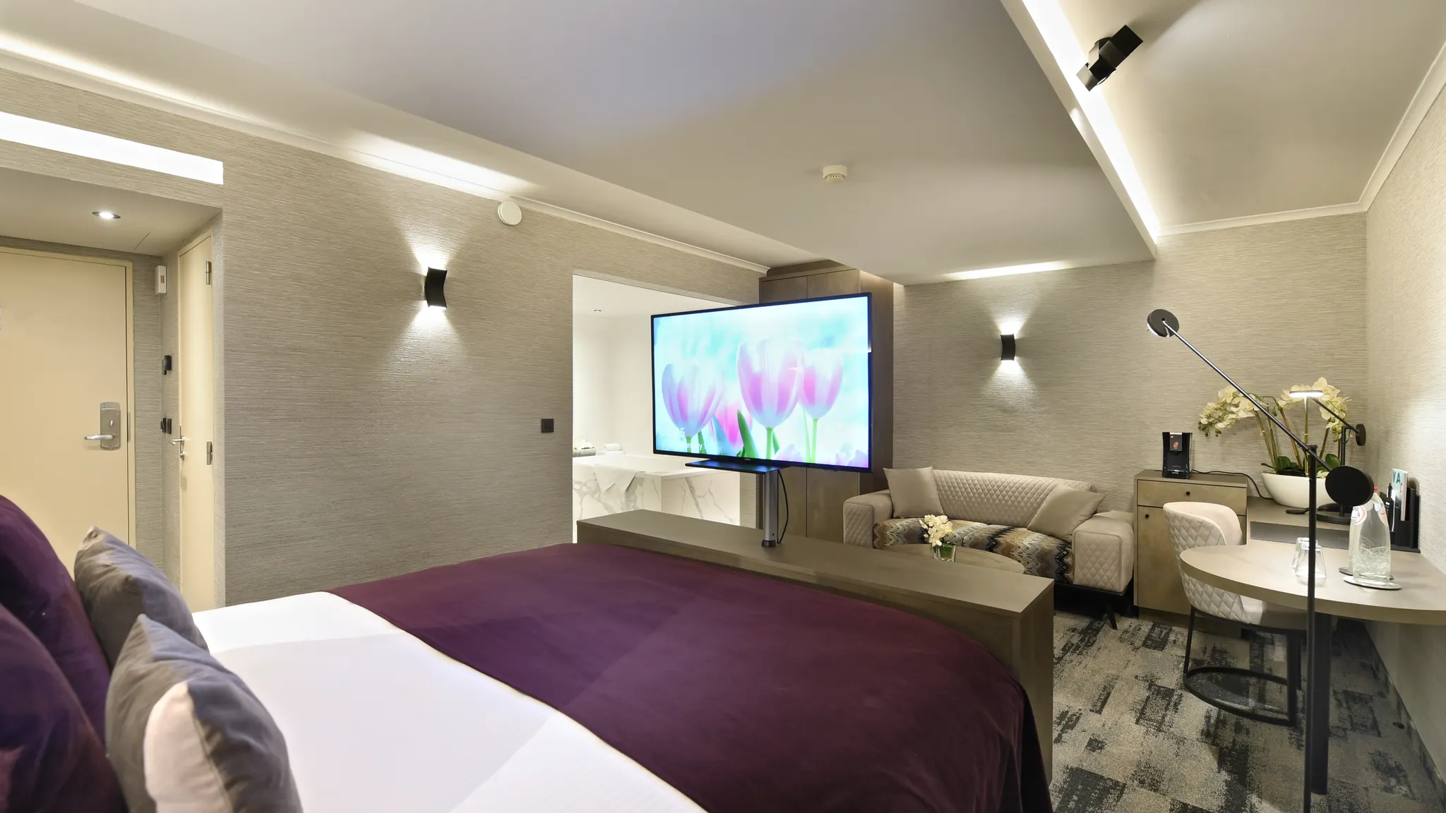 Suite Executive - Cocoon