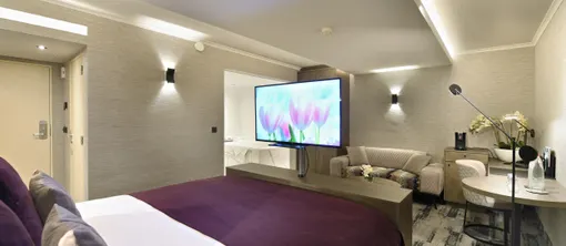 Suite Executive - Cocoon