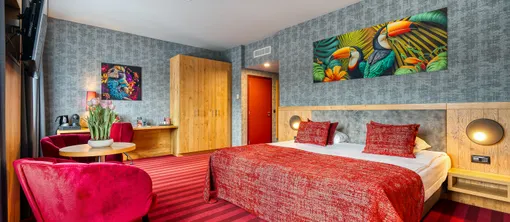 Standard Double room - Verviers